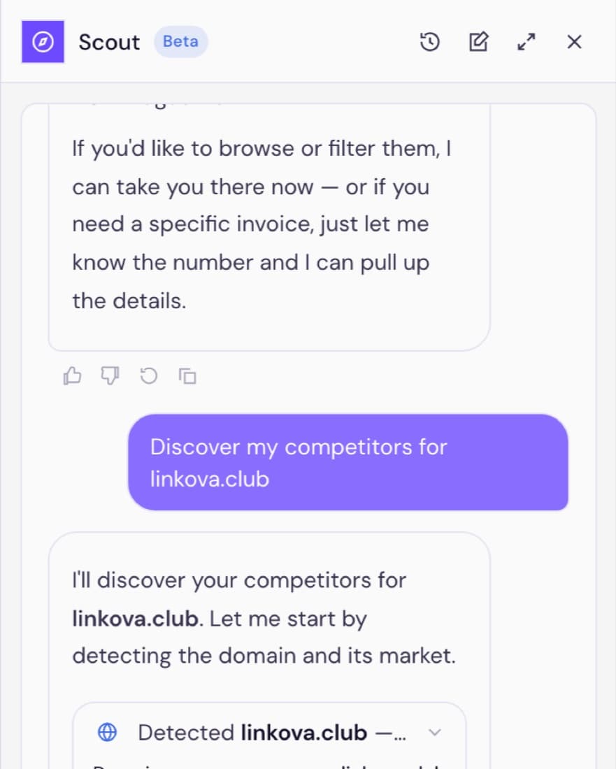 The Scout side panel confirming the market it will analyse — the detected domain, country and language — before discovering competitors